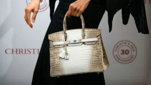 List of the Most Expensive Women's Bags